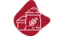 Alimente de baza